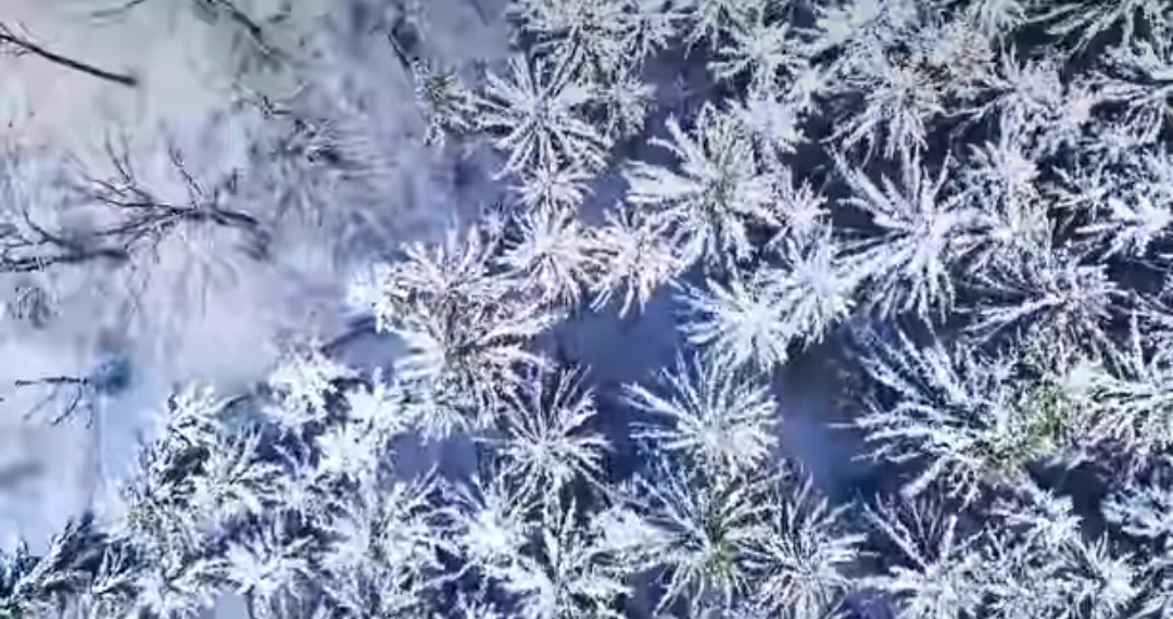 Imagini parcă desprinse din povești cu iarna în pădurile administrate de Ocolul Silvic Avrig din cadrul Direcției Silvice Sibiu, într-o filmare aeriană realizată de către colegul nostru Robert Mihai.
