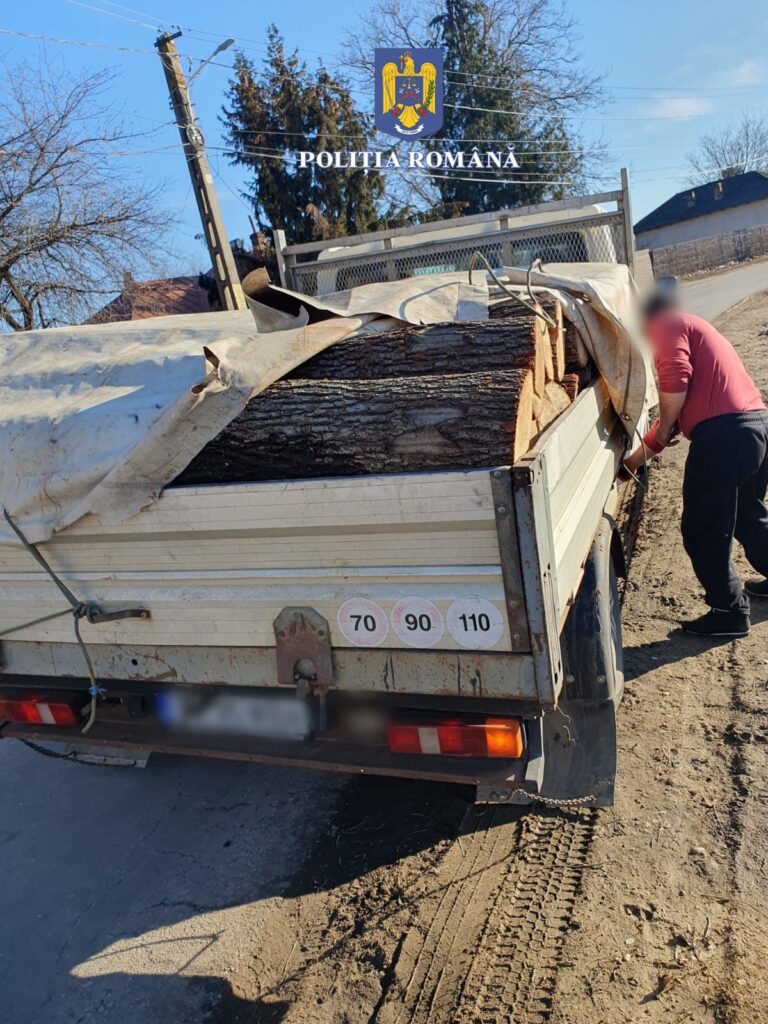 Polițiștii dâmbovițeni au verificat legalitatea  transportului de material lemnos, au acționat polițiștii